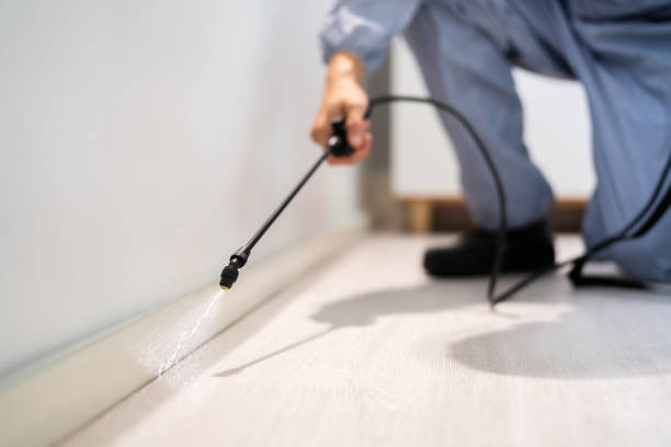 Licensed Pest Control service in Dorr, MI - Show Me Pest Control